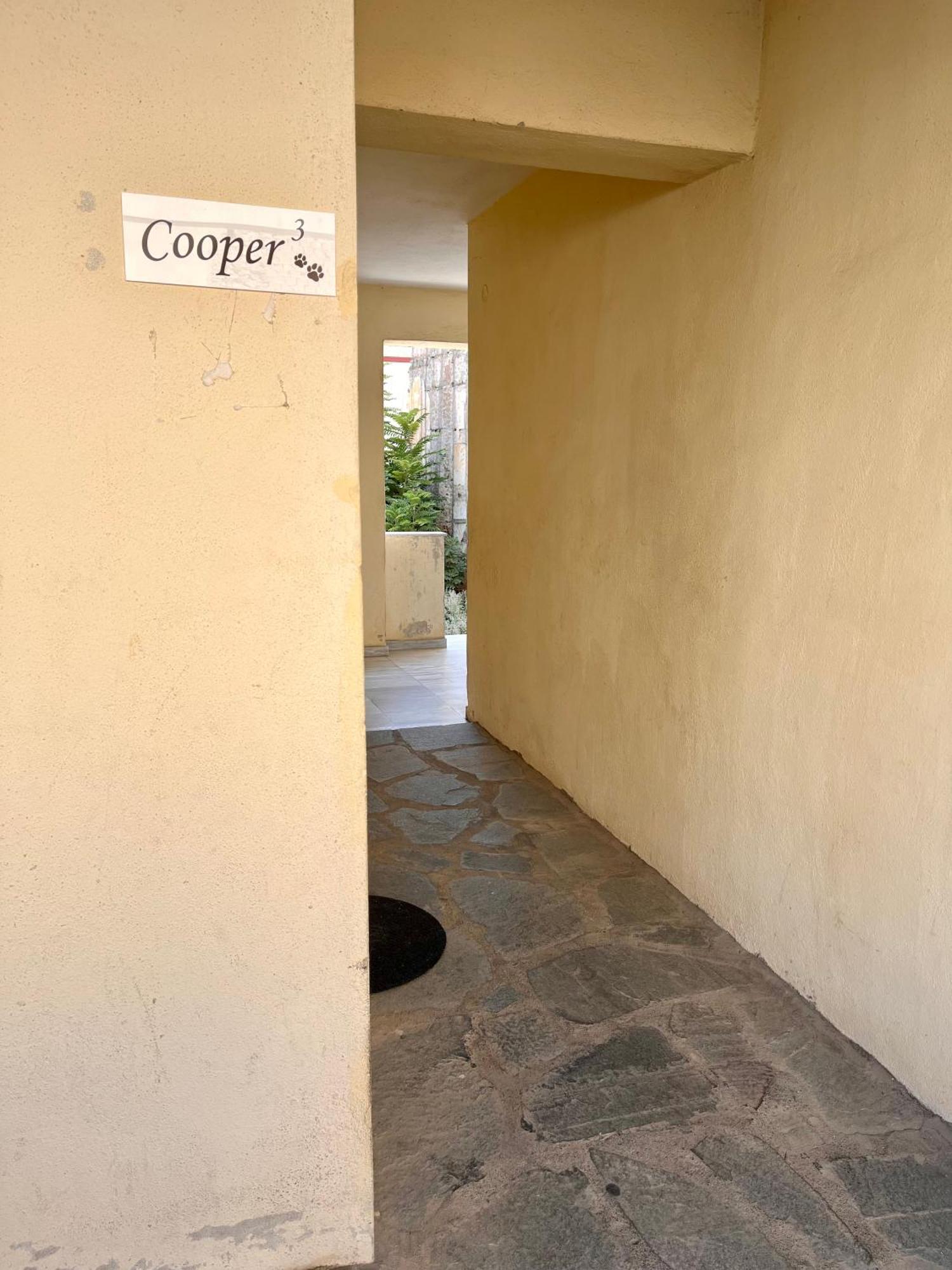 Cooper 3 Daire Kavala Dış mekan fotoğraf